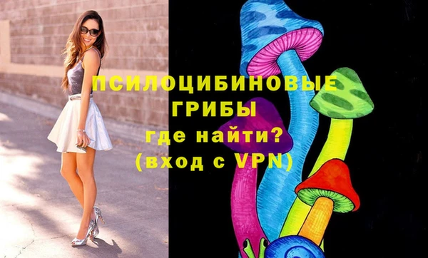 меф Богородицк