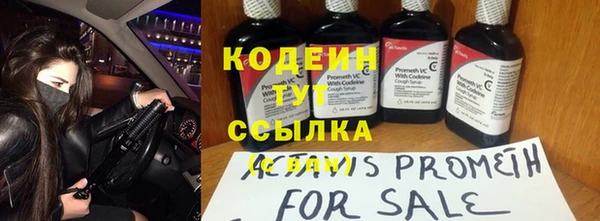 прущие грибы Богородск