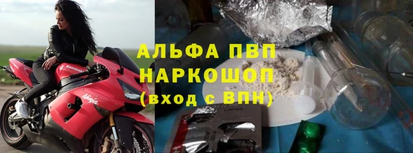 прущие грибы Богородск