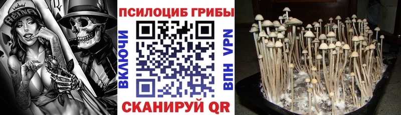 Галлюциногенные грибы Magic Shrooms  Сковородино 
